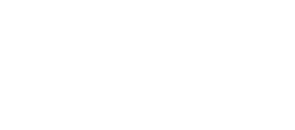 Punjab Centre